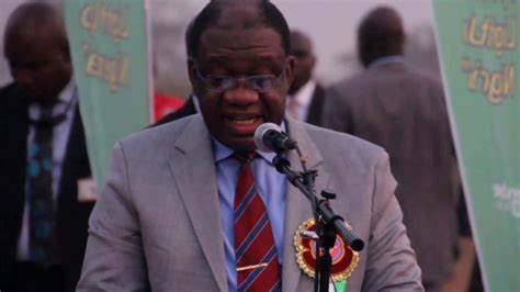 Only Organised Private Sector can solve Nigeria problem not political class – former minister Nebo