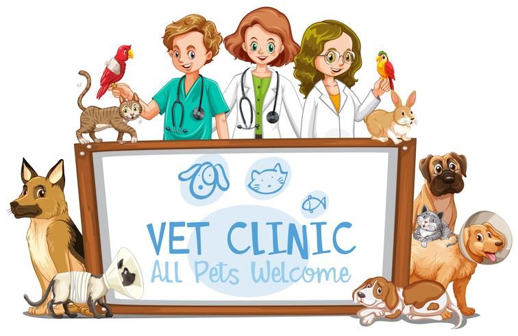 Veterinary doctors lament killing of elephants, eagles, other wild animals in the country
