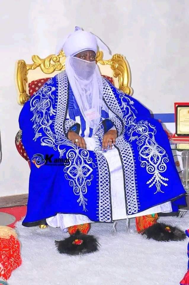 Kano Emir, others condemn kidnapping, selling of northern minors
