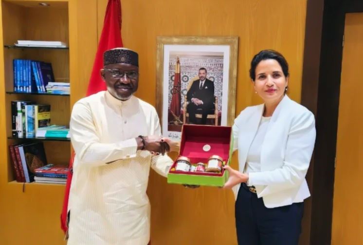 Gas Pipeline: FG, Morocco discuss final investment decision