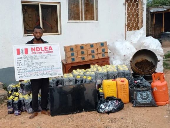 NDLEA bursts “Skuchies” factory in Ibadan