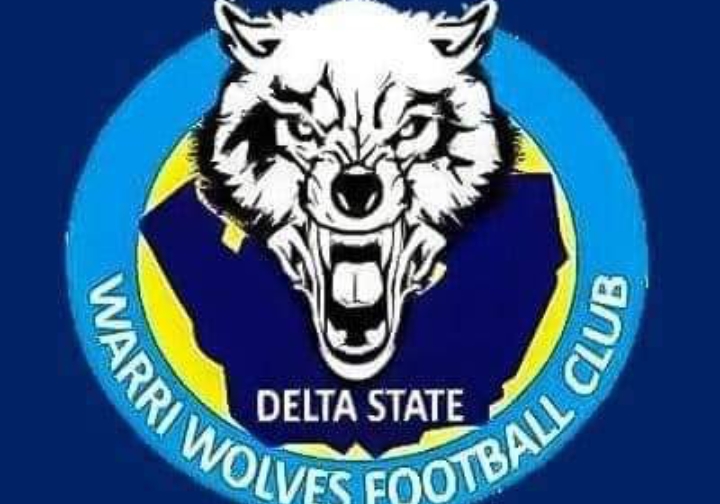 Warri Wolves get new coach after firing Alli over poor performance