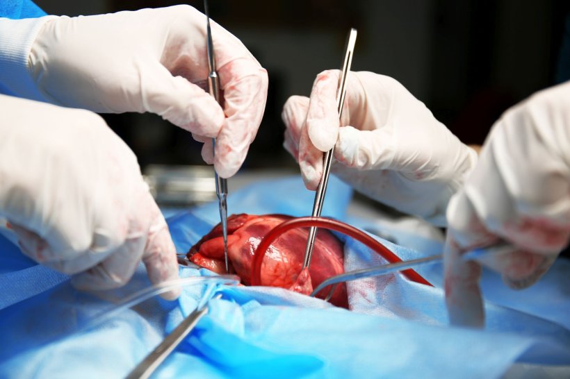 Longest-surviving heart transplant patient breaks world record