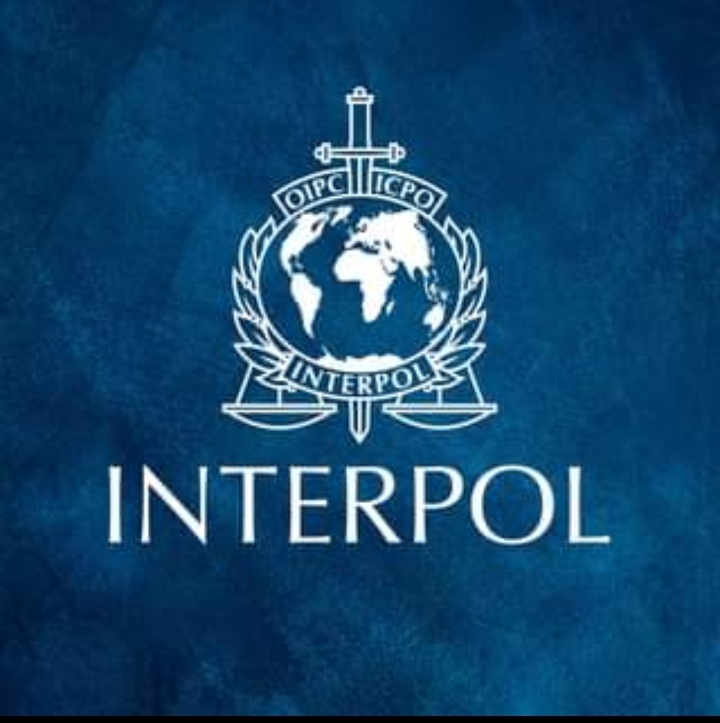 FG writes Interpol to place 3 Nigerians on watchlist over $6.2m fraud