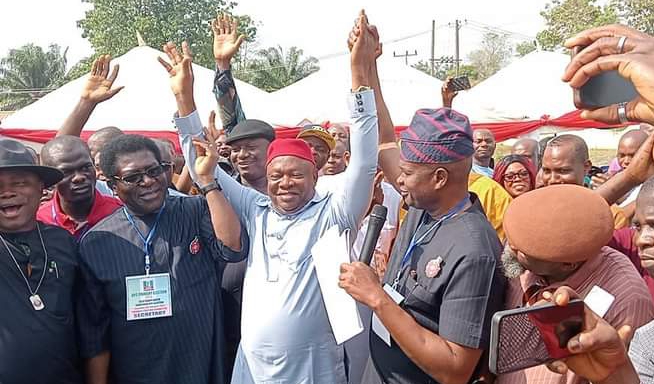 BREAKING: Prof Ani wins Senatorial seat vacated by David Umahi