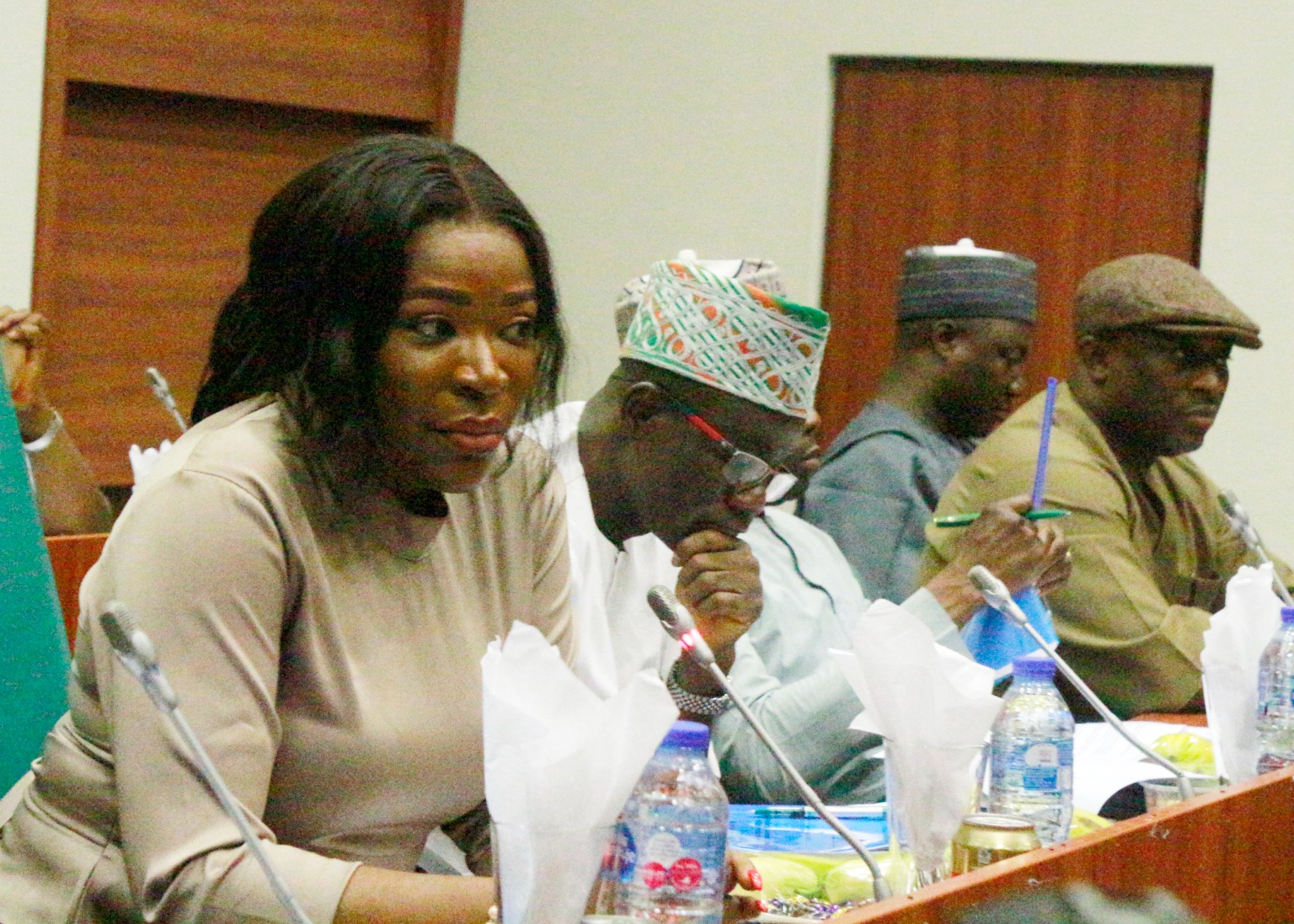 NASS Committee probing IOCs vows to arrest CEOs if …