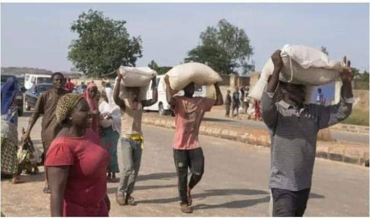 NEMA speaks on looted warehouse in Abuja