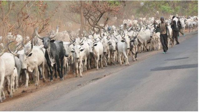 Kwara police confirm killing of Miyetti Allah chairman