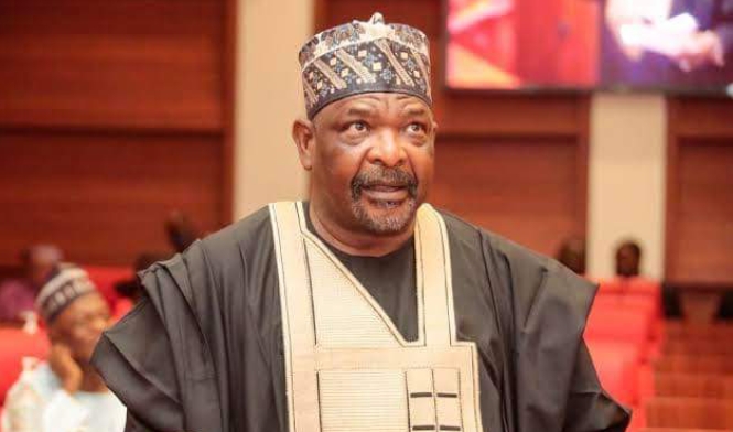 Budget padding: Salient questions nobody is asking Ningi – By Ola Awoniyi