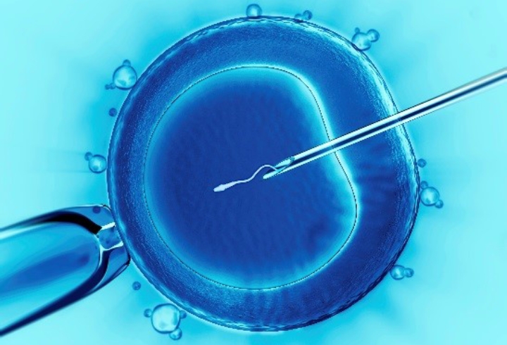 Why IVF cannot be used in making babies - By Jerry Okwuosa