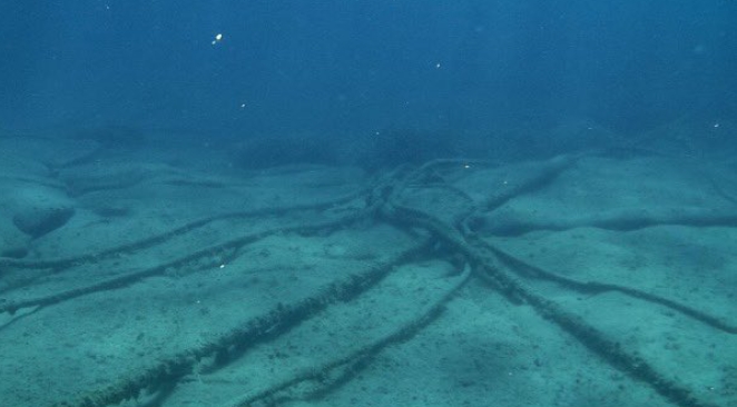 JUST IN: Internet services affected by undersea cable cuts restored