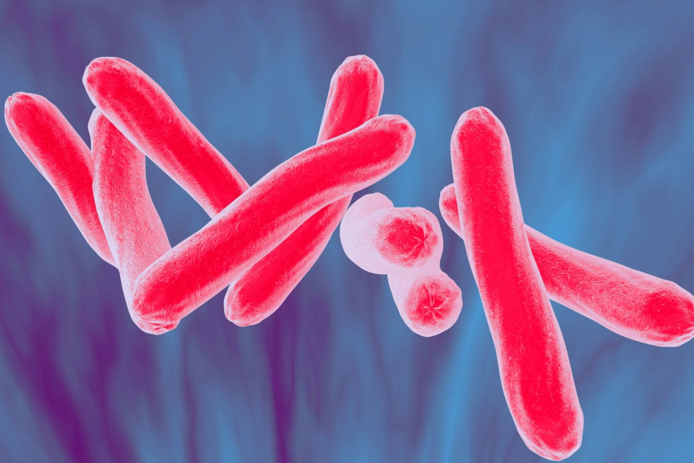Ogun raises concern over rising TB cases