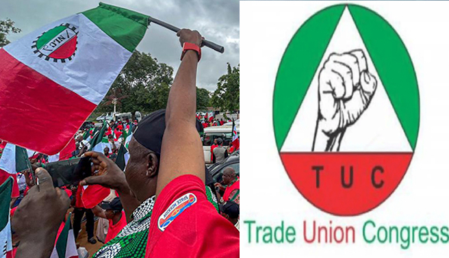FACT CHECK: Has FG agreed on N155,000 minimum wage with labour unions?
