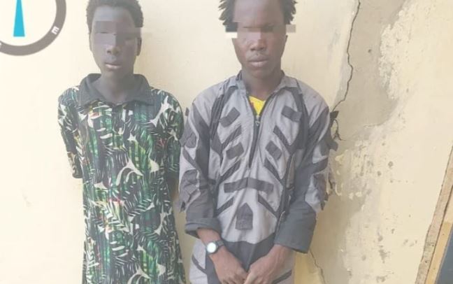 2 Boko Haram bomb experts surrender in Borno
