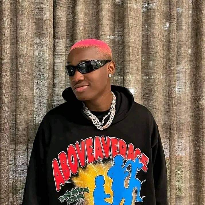 Burna Boy introduced live band into Afrobeats – Ruger