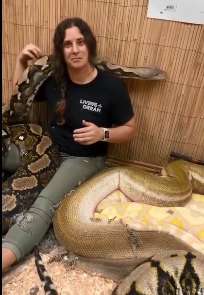 STRANGE! Woman displays 28 pythons, calls them her best friends