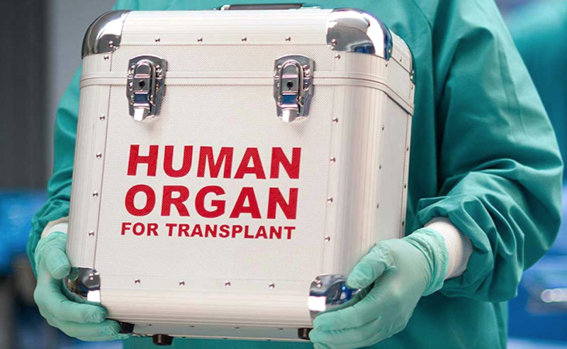 Organ harvesting hearing: The dark side of Nigerian media – By Oke Egoh