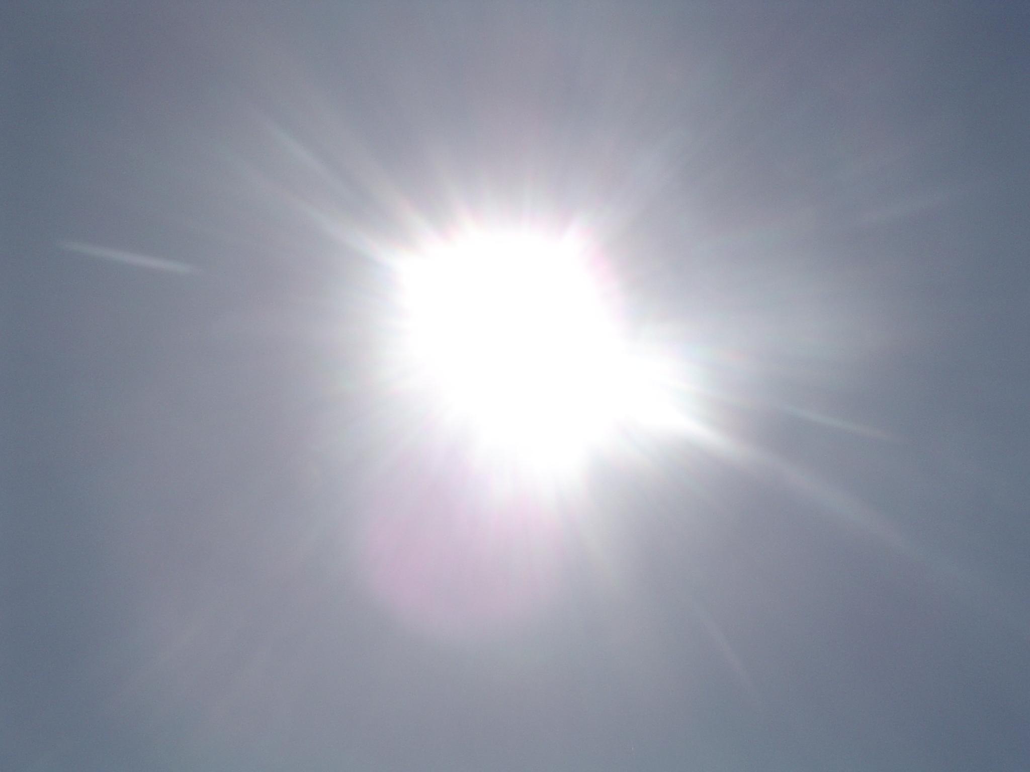 Heat Wave: Expert warns Nigerians against working under direct sunlight, states implications