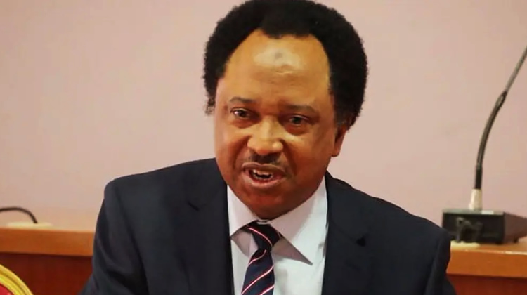 Shehu Sani reveals reason Tinubu denied El-Rufai ministerial appointment