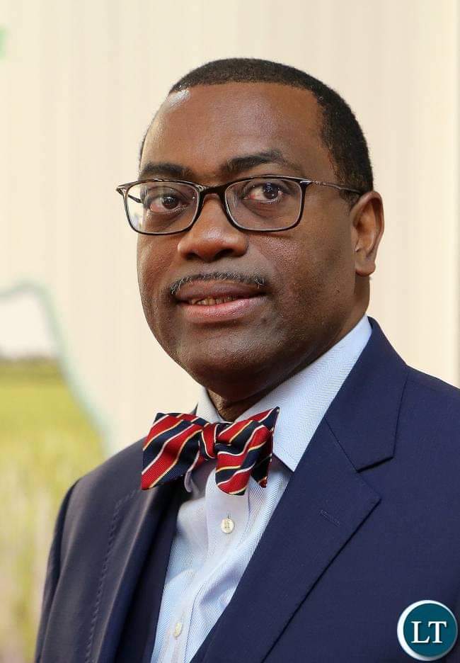 Food importation: Tinubu’s latest policy ‘depressing’ – AfDB President, Adesina