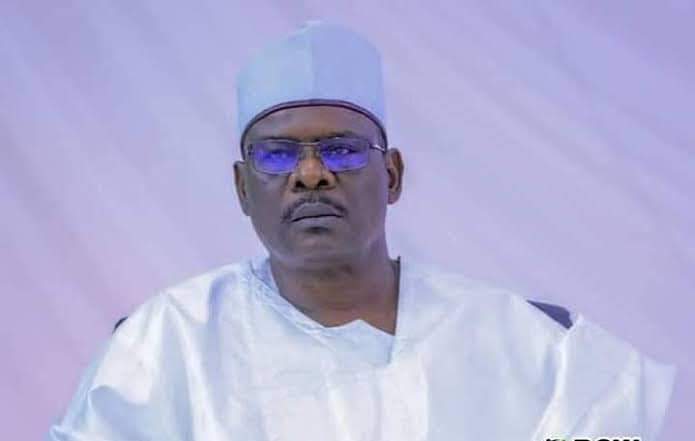 BREAKING: Senate sacks Ndume as chief whip