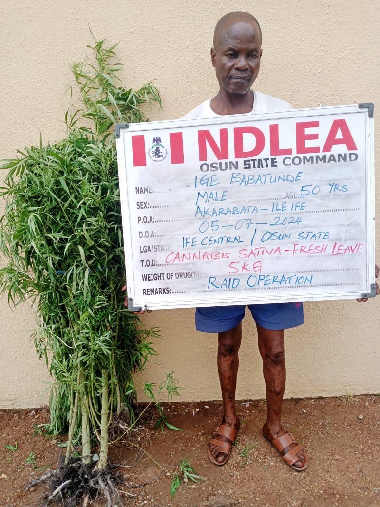 Businessman excretes 88 wraps of cocaine as NDLEA intercepts drugs in noodles at MMIA