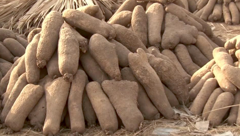 Traders open up over arbitrary increase in price of yam