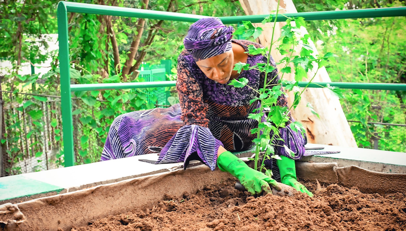 Oluremi Tinubu’s home garden: Matters arising