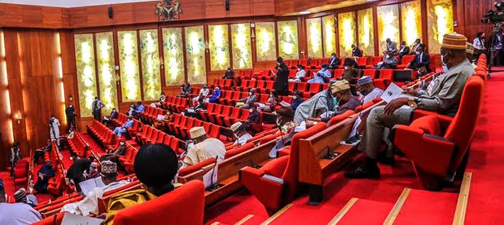 Senate invites Tinubu’s minister, Bagudu over low budgetary allocation to Creative Economy ministry