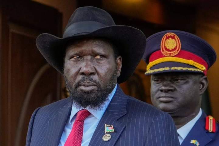 Why South Sudan postpones elections by 2 years