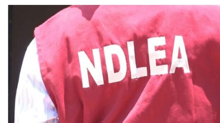 Just in: Days after Senator Kawu raised alarm that lawmakers use drugs, NDLEA operatives uncover drugs in serving senator’s house