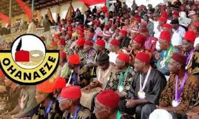 Igbo Day: Ohanaeze calls for prayers against challenges facing South-East