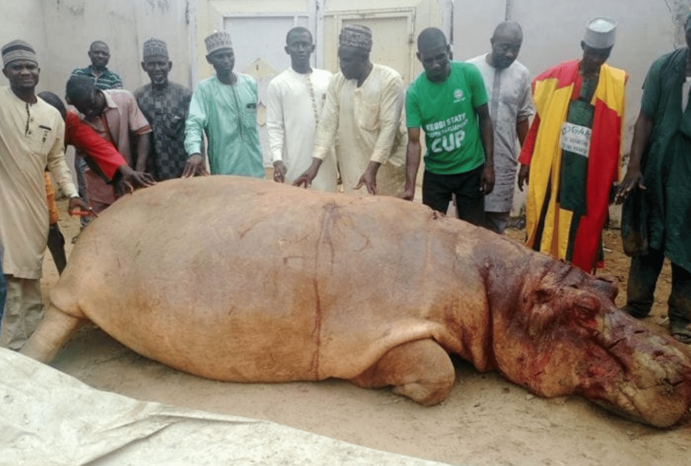 Fishermen kill huge hippopotamus in Kebbi