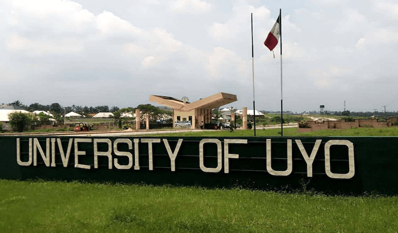Convocation: 174 bag first class degrees in UNIUYO