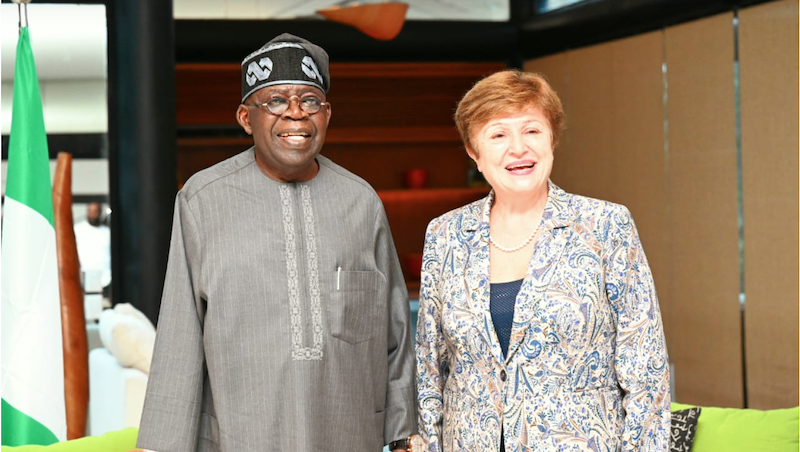 Details of what Tinubu discussed with IMF MD emerge