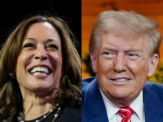 SEE 7 States that ‘ll decide US presidency this year