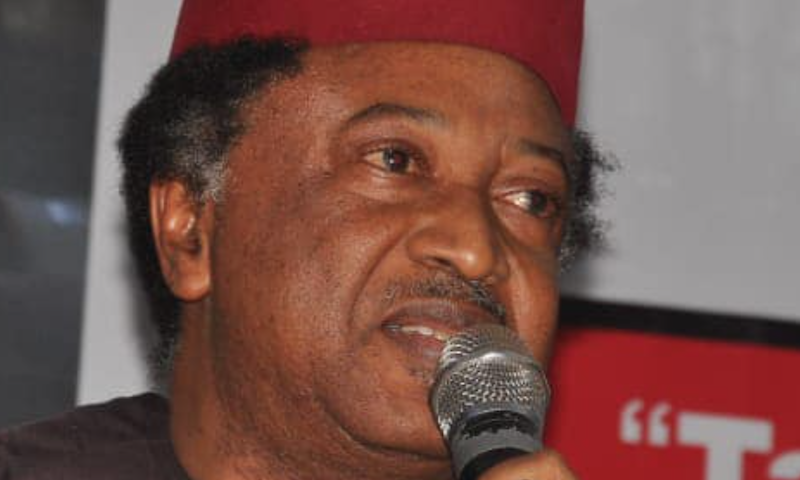 Why Emir Sanusi should not encourage her daughters to slap their husbands – Shehu Sani