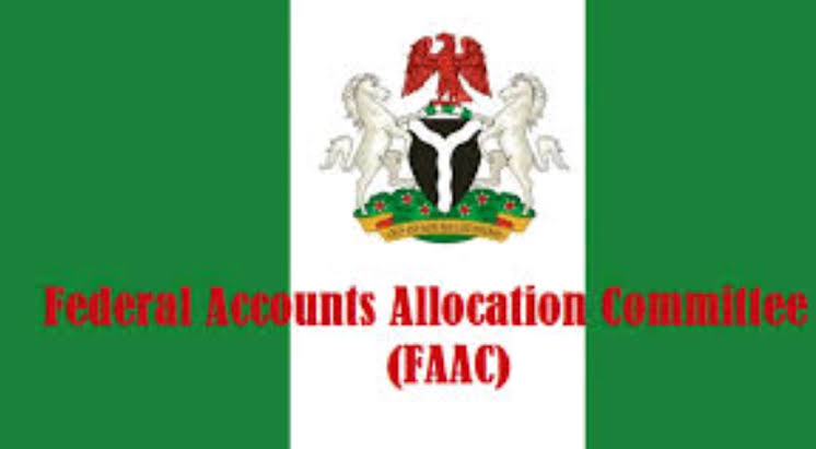 LG autonomy: Councils to start receiving direct payment of allocations next month