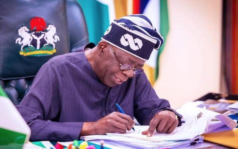 Tinubu orders full personnel audit in civil service