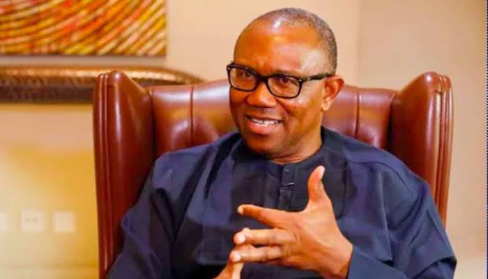 Benue trip not adequate, visit Niger too – Obi tells Tinubu