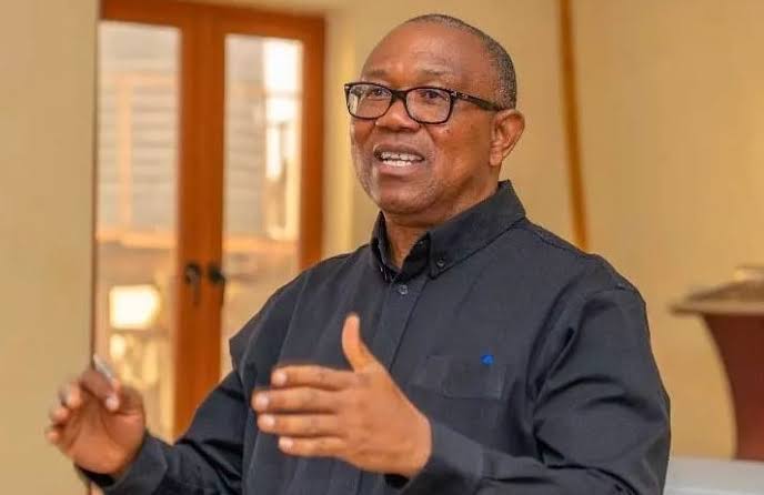2027: Count me out of any coalition that’s not against hunger, poverty Peter Obi declares