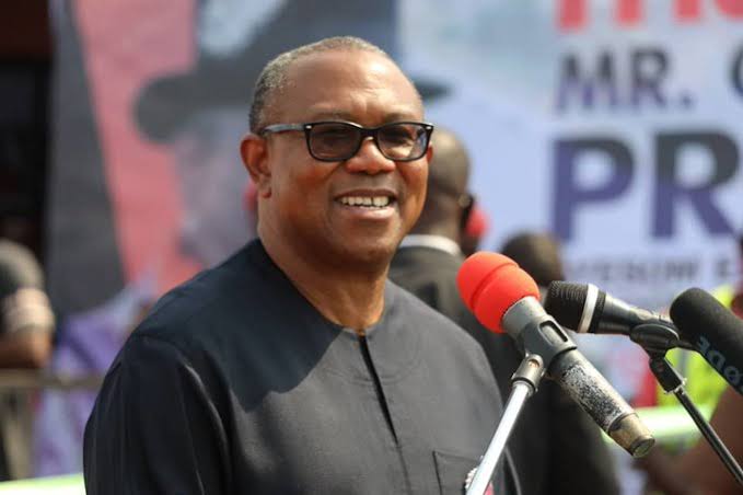 SURPRISE! PDP pleads with Peter Obi to dump LP to join former party