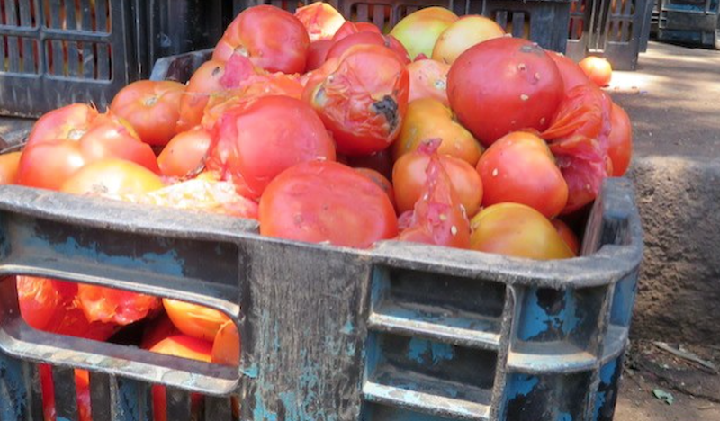 Nigeria’s annual post-harvest losses hits N3.5trn