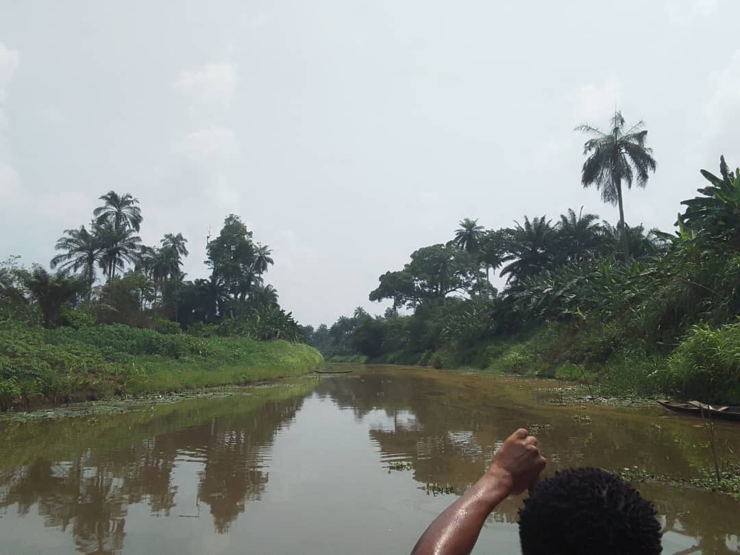 Obololi Spill: Shell shuts Nun River-Kolo Creek crude oil line in Bayelsa