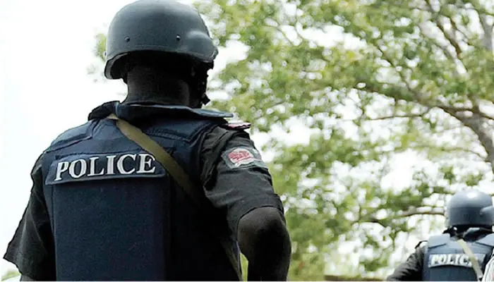 Police arrest 4 suspected cultists in Delta