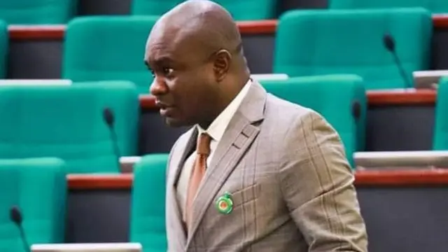 Elected officials’ suspension in Rivers, a slap on the constitution - Farah Dagogo