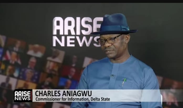Opposition in Delta, alliance of ‘strange bedfellows’ – Aniagwu