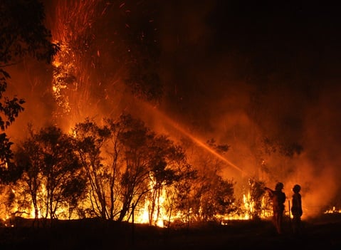 Deadly wildfires in South Korea claim 27 lives, displace thousands