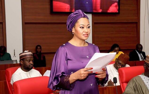 KEN HARRIES: Why court can’t void Senate’s suspension of Senator Natasha Akpoti-Uduaghan