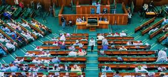 Porn lovers in tears as Reps take harsh action against pornography
